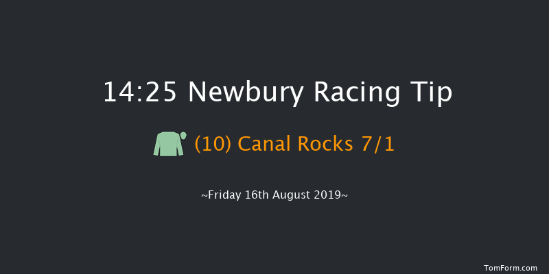 Newbury 14:25 Handicap (Class 4) 8f Tue 6th Aug 2019