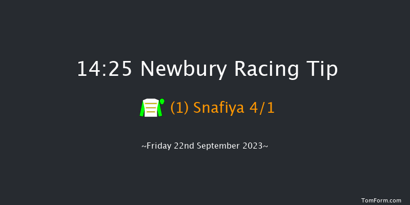 Newbury 14:25 Stakes (Class 2) 7f Tue 29th Aug 2023