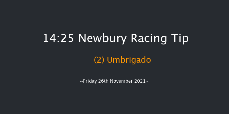 Newbury 14:25 Handicap Chase (Class 2) 20f Sat 15th May 2021