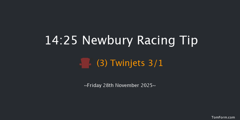 Newbury 14-25 (Class 2) 19f Thu 6th Nov 2025