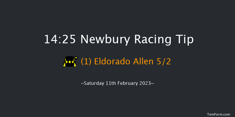 Newbury 14:25 Conditions Chase (Class 1) 23f Sat 31st Dec 2022