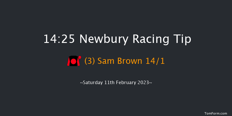 Newbury 14:25 Conditions Chase (Class 1) 23f Sat 31st Dec 2022
