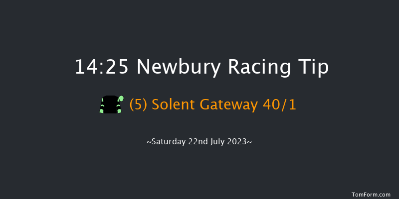 Newbury 14:25 Handicap (Class 2) 16f Fri 21st Jul 2023