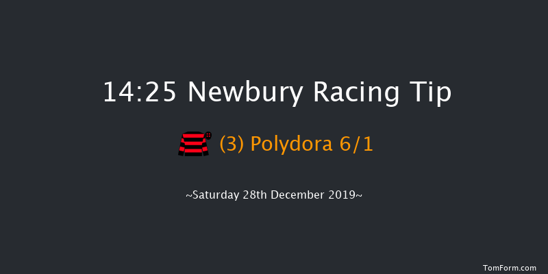 Newbury 14:25 Handicap Chase (Class 3) 26f Wed 18th Dec 2019