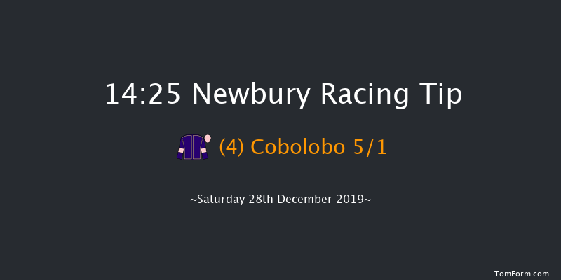 Newbury 14:25 Handicap Chase (Class 3) 26f Wed 18th Dec 2019