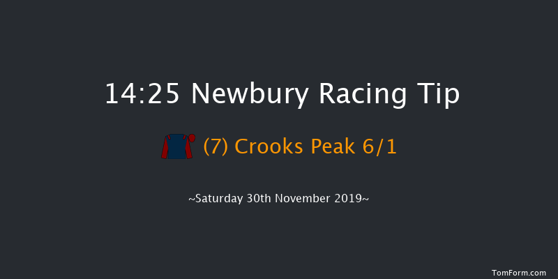 Newbury 14:25 Handicap Hurdle (Class 1) 16f Fri 29th Nov 2019