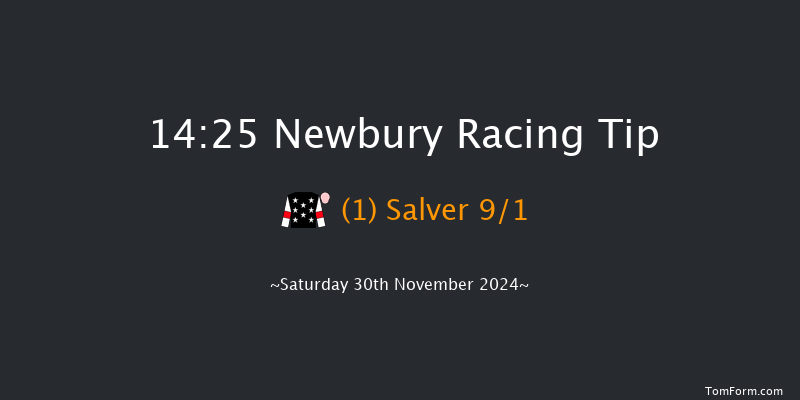 Newbury  14:25 Handicap Hurdle (Class 1) 16f Fri 29th Nov 2024