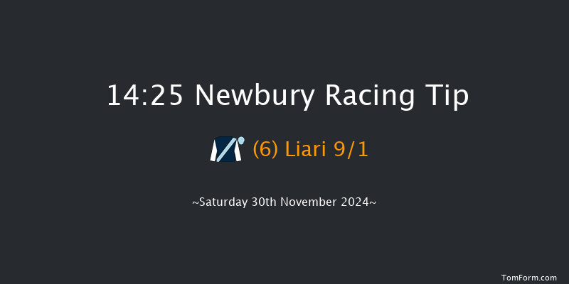 Newbury  14:25 Handicap Hurdle (Class 1) 16f Fri 29th Nov 2024