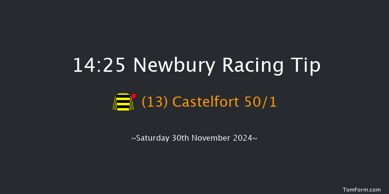 Newbury  14:25 Handicap Hurdle (Class 1) 16f Fri 29th Nov 2024