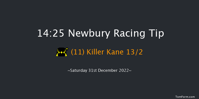 Newbury 14:25 Handicap Chase (Class 3) 26f Sat 26th Nov 2022