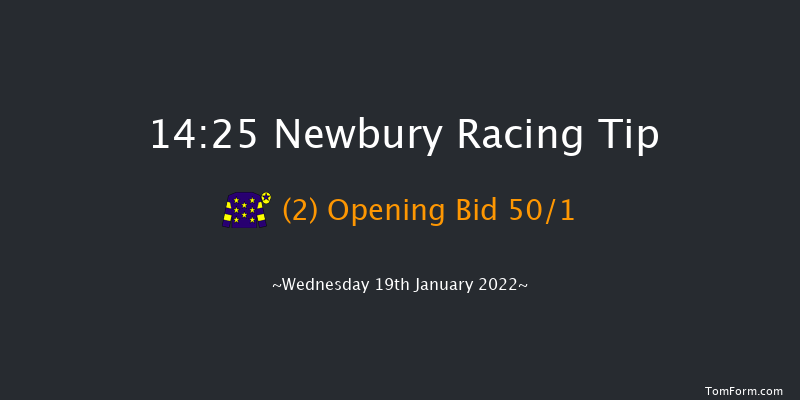 Newbury 14:25 Handicap Hurdle (Class 4) 16f Wed 29th Dec 2021