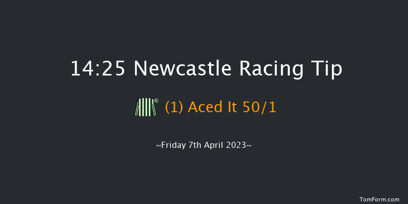 Newcastle 14:25 Stakes (Class 2) 16f Mon 3rd Apr 2023