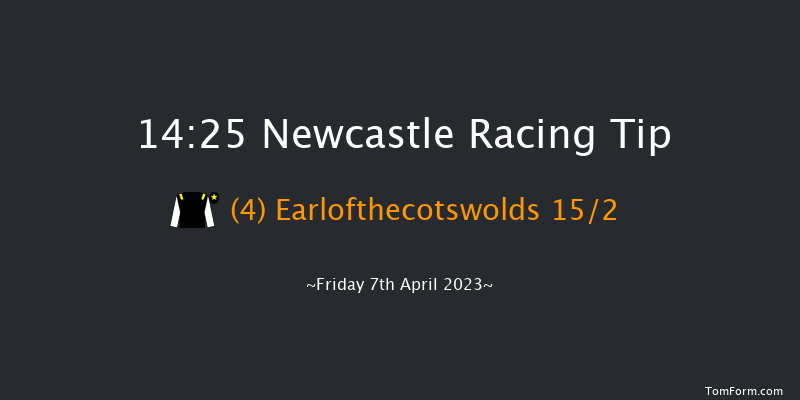 Newcastle 14:25 Stakes (Class 2) 16f Mon 3rd Apr 2023