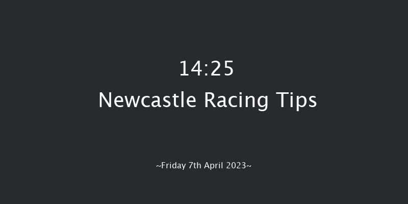 Newcastle 14:25 Stakes (Class 2) 16f Mon 3rd Apr 2023
