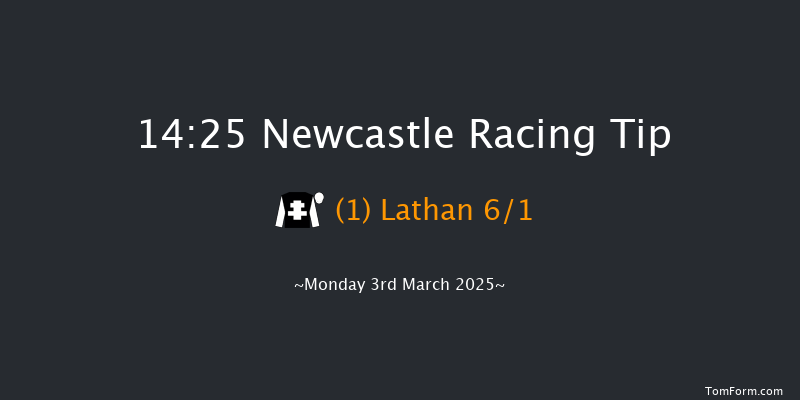 Newcastle  14:25 Handicap Hurdle (Class 5) 20f Sat 1st Mar 2025