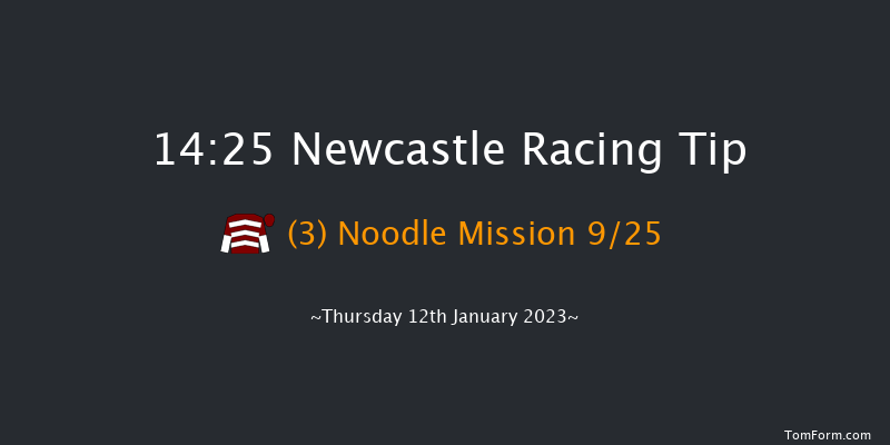 Newcastle 14:25 Handicap (Class 5) 8f Sat 7th Jan 2023