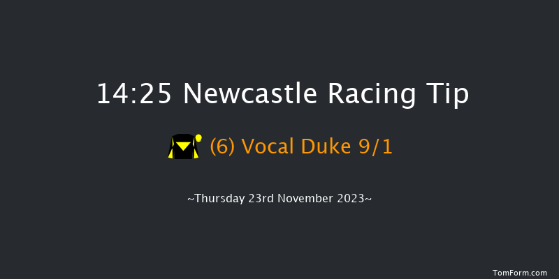 Newcastle 14:25 Handicap Hurdle (Class 4) 17f Sun 19th Nov 2023