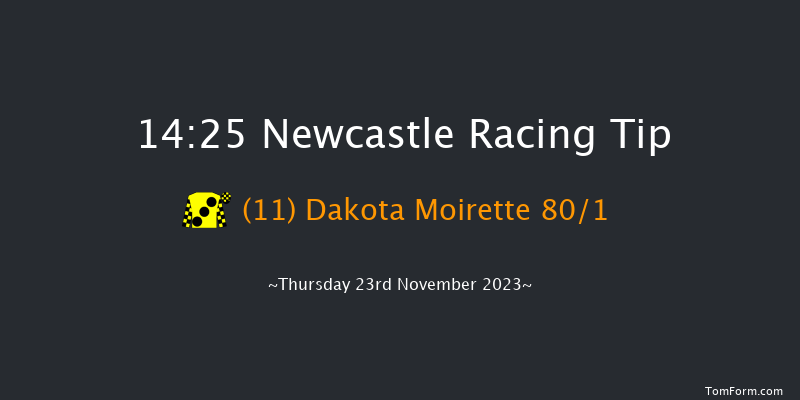 Newcastle 14:25 Handicap Hurdle (Class 4) 17f Sun 19th Nov 2023
