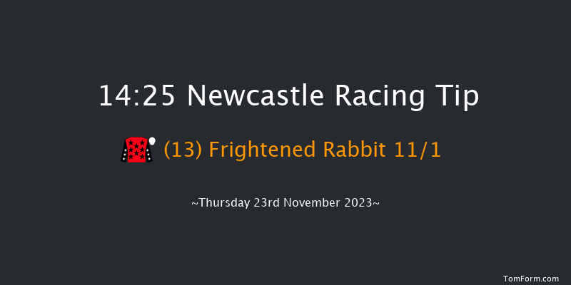 Newcastle 14:25 Handicap Hurdle (Class 4) 17f Sun 19th Nov 2023