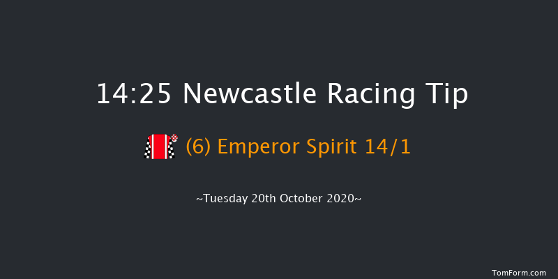 Play Ladbrokes 5-A-Side On Football EBF Novice Stakes (Plus 10) Newcastle 14:25 Stakes (Class 4) 7f Fri 16th Oct 2020
