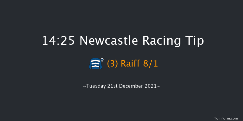 Newcastle 14:25 Handicap (Class 5) 12f Sat 18th Dec 2021