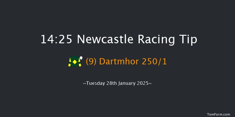 Newcastle  14:25 Maiden Hurdle (Class 4) 20f Sat 25th Jan 2025