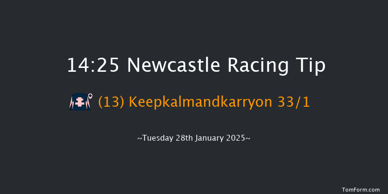 Newcastle  14:25 Maiden Hurdle (Class 4) 20f Sat 25th Jan 2025