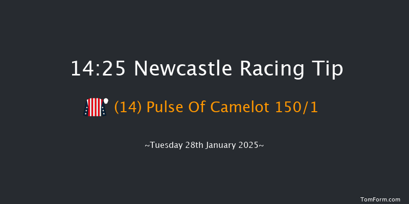 Newcastle  14:25 Maiden Hurdle (Class 4) 20f Sat 25th Jan 2025