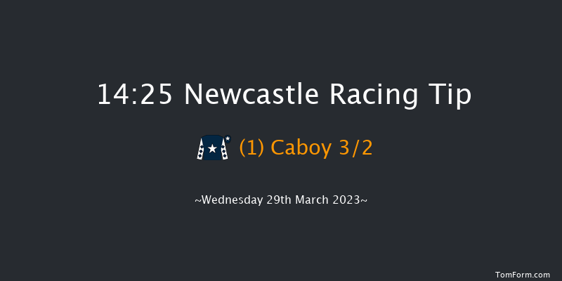 Newcastle 14:25 Handicap Chase (Class 5) 20f Fri 24th Mar 2023
