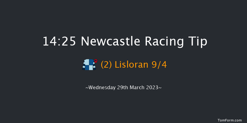 Newcastle 14:25 Handicap Chase (Class 5) 20f Fri 24th Mar 2023