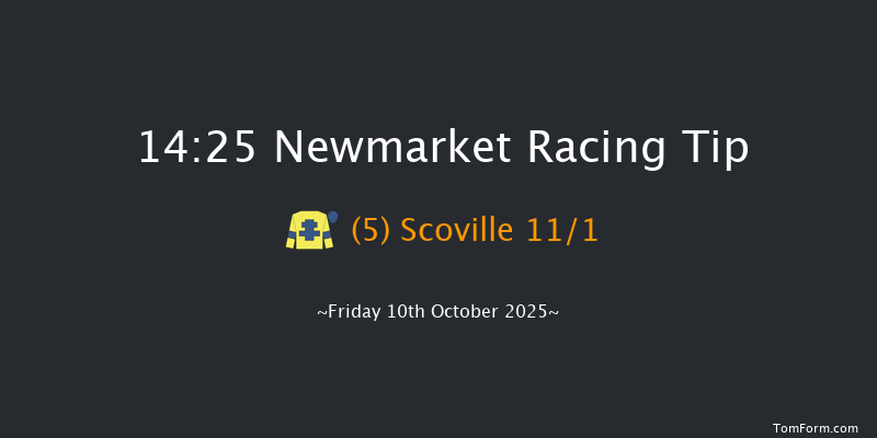 Newmarket 14-25 (Class 1) 7f Sat 4th Oct 2025