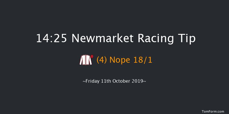 Newmarket 14:25 Group 3 (Class 1) 7f Sat 5th Oct 2019