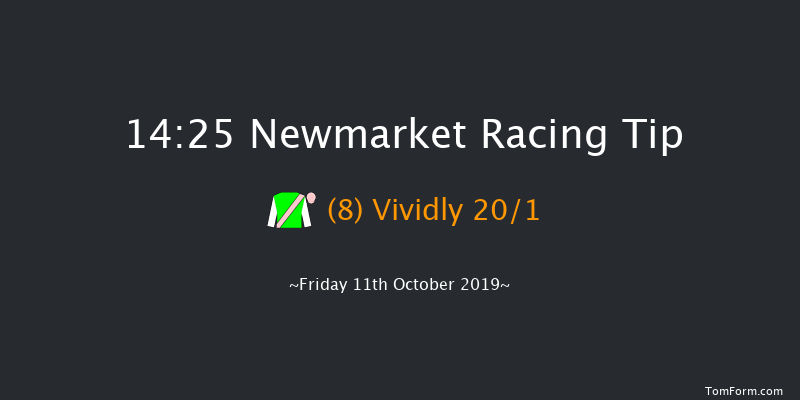 Newmarket 14:25 Group 3 (Class 1) 7f Sat 5th Oct 2019