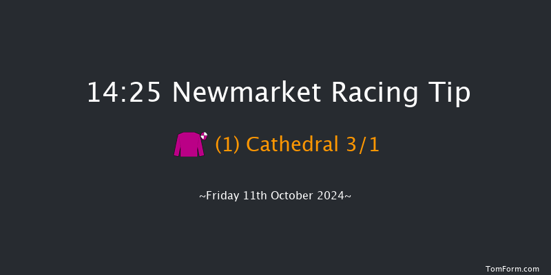Newmarket  14:25 Group 3 (Class 1) 7f  Sat 5th Oct 2024