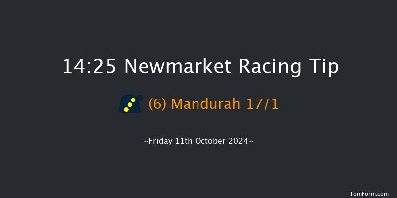 Newmarket  14:25 Group 3 (Class 1) 7f  Sat 5th Oct 2024