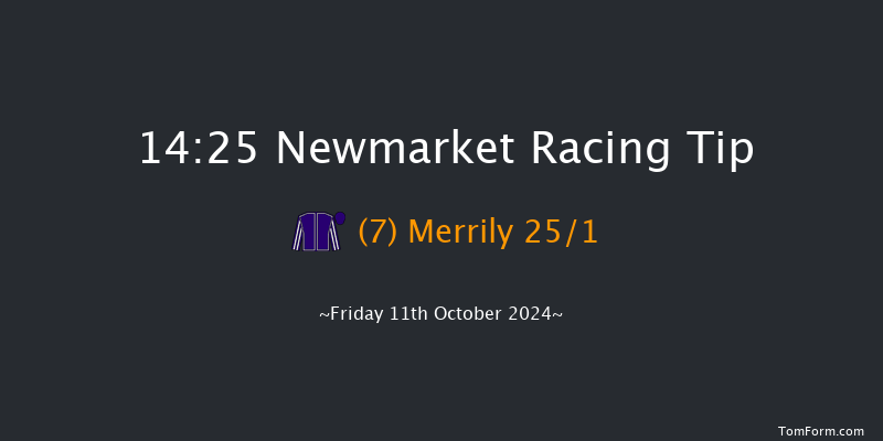 Newmarket  14:25 Group 3 (Class 1) 7f  Sat 5th Oct 2024