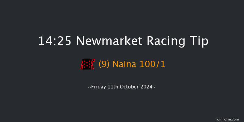 Newmarket  14:25 Group 3 (Class 1) 7f  Sat 5th Oct 2024