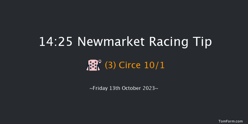 Newmarket 14:25 Group 3 (Class 1) 7f Sat 7th Oct 2023