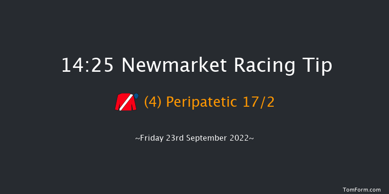 Newmarket 14:25 Group 3 (Class 1) 12f Thu 22nd Sep 2022