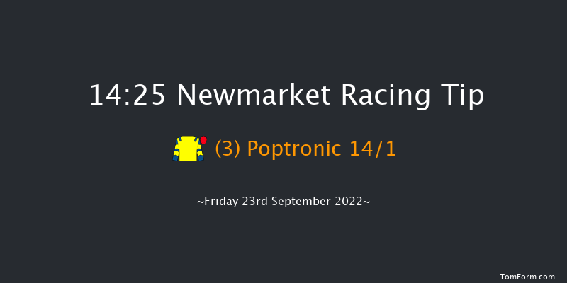 Newmarket 14:25 Group 3 (Class 1) 12f Thu 22nd Sep 2022