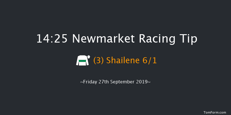 Newmarket 14:25 Group 3 (Class 1) 12f Thu 26th Sep 2019