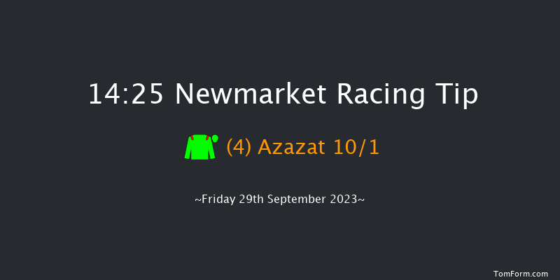 Newmarket 14:25 Group 3 (Class 1) 12f Thu 28th Sep 2023