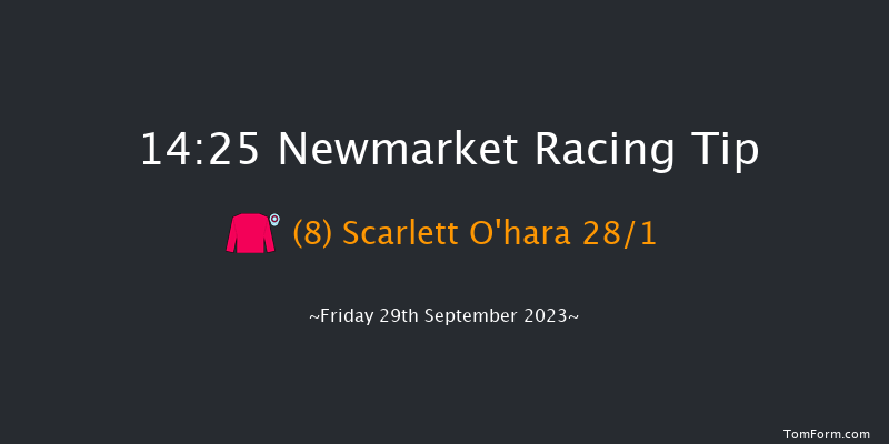 Newmarket 14:25 Group 3 (Class 1) 12f Thu 28th Sep 2023