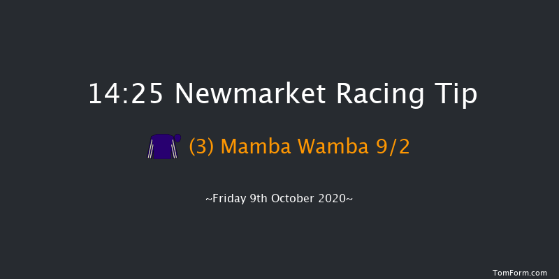 Godolphin Lifetime Care Oh So Sharp Stakes (Fillies' Group 3) Newmarket 14:25 Group 3 (Class 1) 7f Sat 3rd Oct 2020