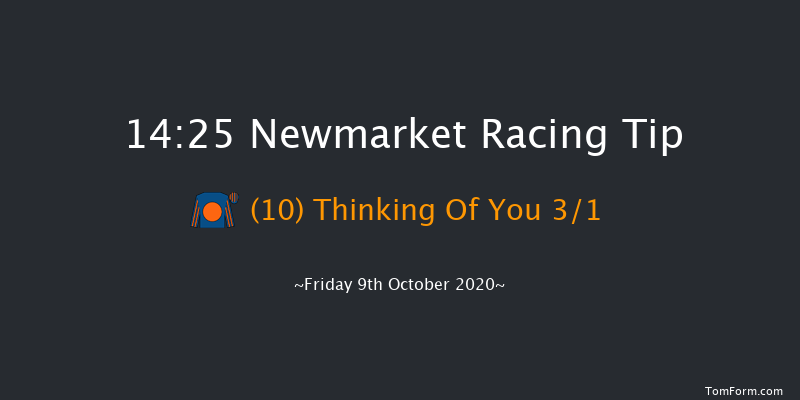 Godolphin Lifetime Care Oh So Sharp Stakes (Fillies' Group 3) Newmarket 14:25 Group 3 (Class 1) 7f Sat 3rd Oct 2020