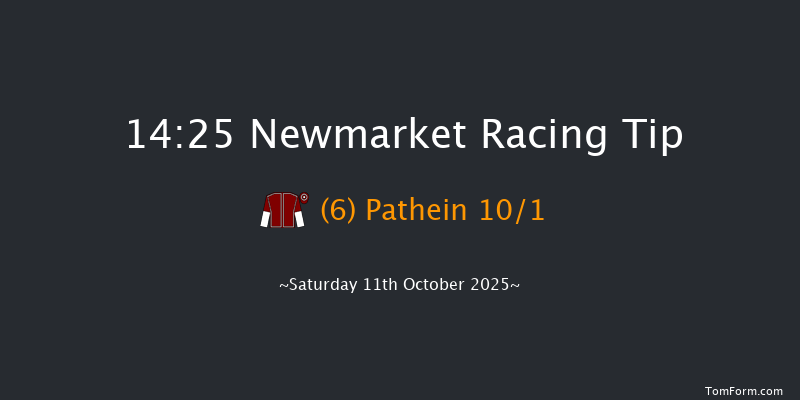Newmarket 14-25 (Class 1) 8f Fri 10th Oct 2025