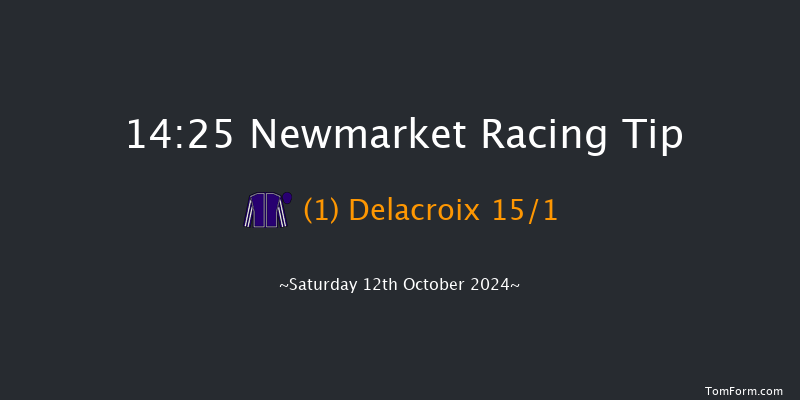 Newmarket  14:25 Group 3 (Class 1) 8f Fri 11th Oct 2024