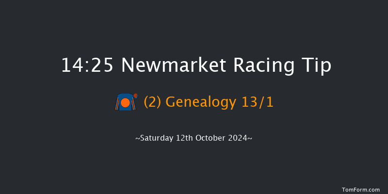Newmarket  14:25 Group 3 (Class 1) 8f Fri 11th Oct 2024
