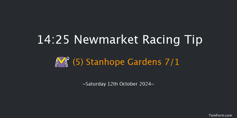 Newmarket  14:25 Group 3 (Class 1) 8f Fri 11th Oct 2024