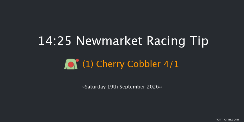Newmarket 14-25 (Class 4) 7f Sat 22nd Aug 2026